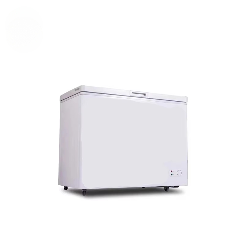 Commercial Chest Freezer - Congelador horizontal comercial de pequeña capacidad