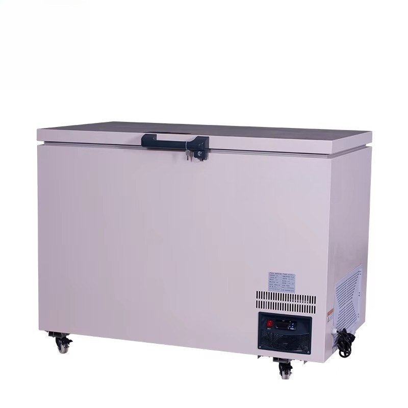 268L -60 ℃   Congelador Horizo - Commercial Chest Freezer reseña y precio