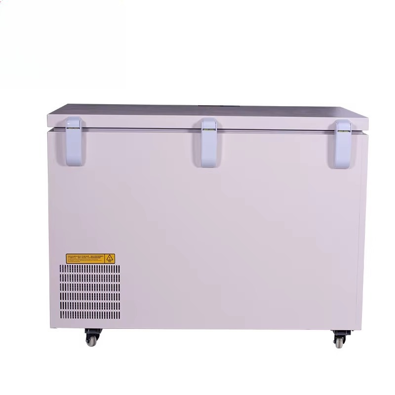268L -60 ℃   Congelador Horizo - Commercial Chest Freezer reseña y precio