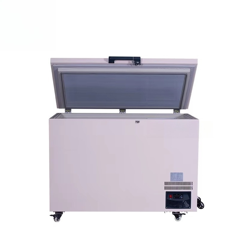 268L -60 ℃   Congelador Horizo - Commercial Chest Freezer reseña y precio