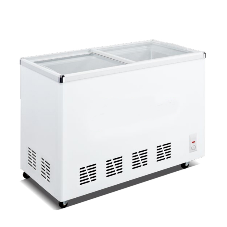 Congelador horizontal comercia - Commercial Chest Freezer reseña y precio