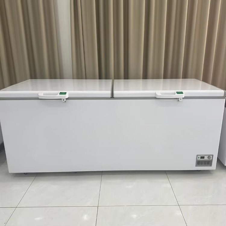 Nuevo congelador horizontal co - Commercial Chest Freezer reseña y precio