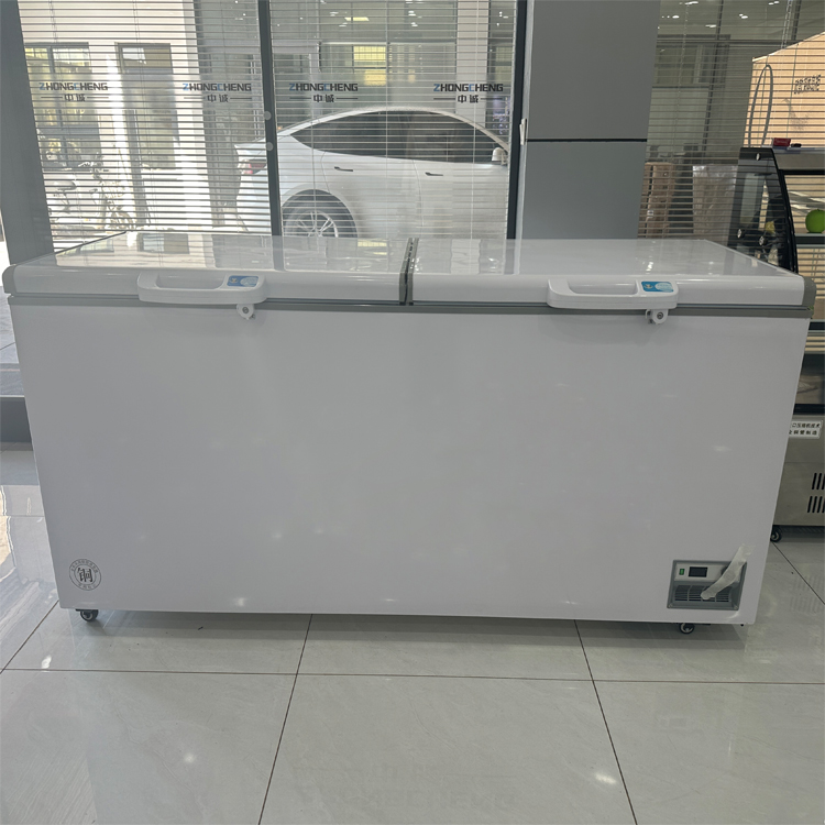 Nuevo congelador horizontal co - Commercial Chest Freezer reseña y precio